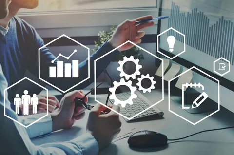 SEO Consultant